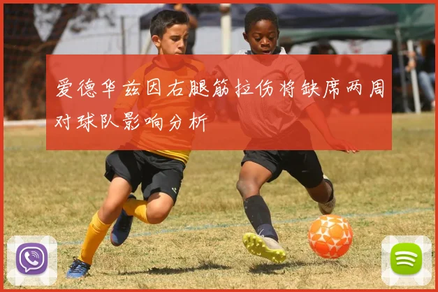 爱德华兹因右腿筋拉伤将缺席两周对球队影响分析