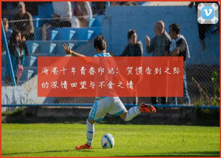 海港十年青春印记：贺惯告别之际的深情回望与不舍之情