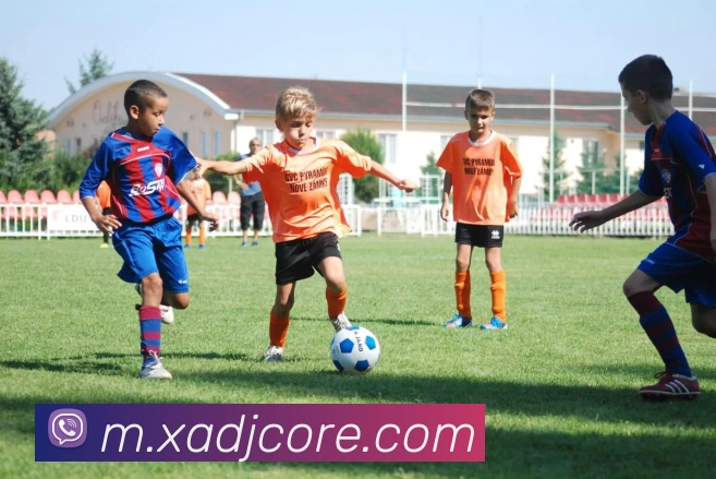 数据防护可视化